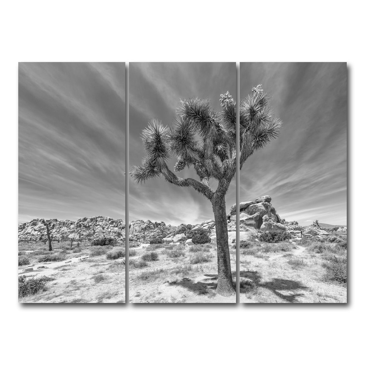 AUTO-MOCKUP WHITE | Joshua Tree National Park Inspirational Monochrome | 3 Piece | Gallery Wrap Canvas | group=8x18