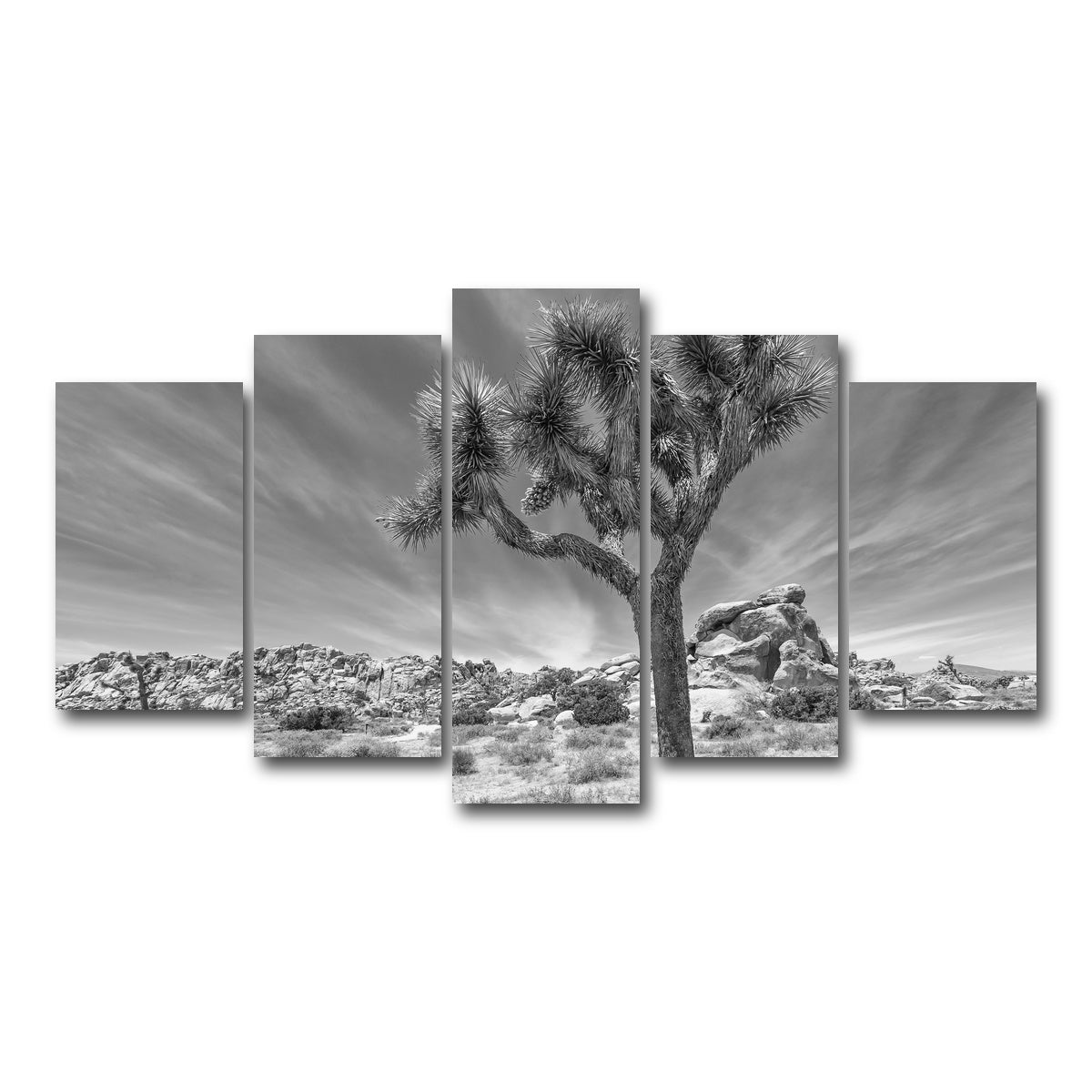 AUTO-MOCKUP WHITE | Joshua Tree National Park Inspirational Monochrome | 5 Piece | Gallery Wrap Canvas | group=5_normal