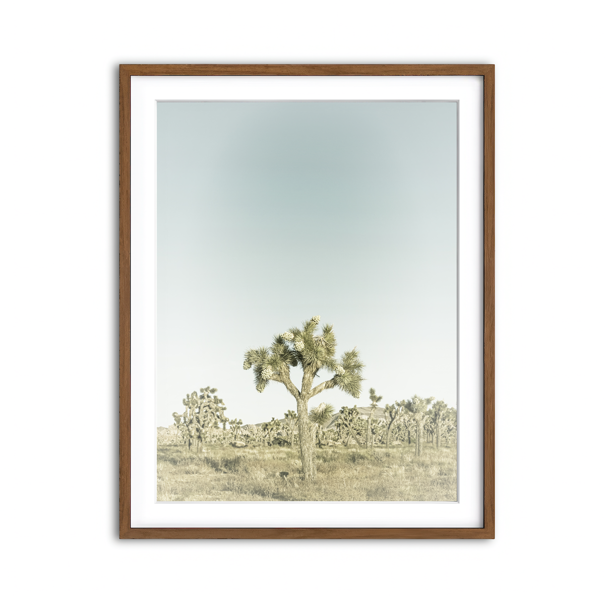 Framed Print 3x4 Walnut