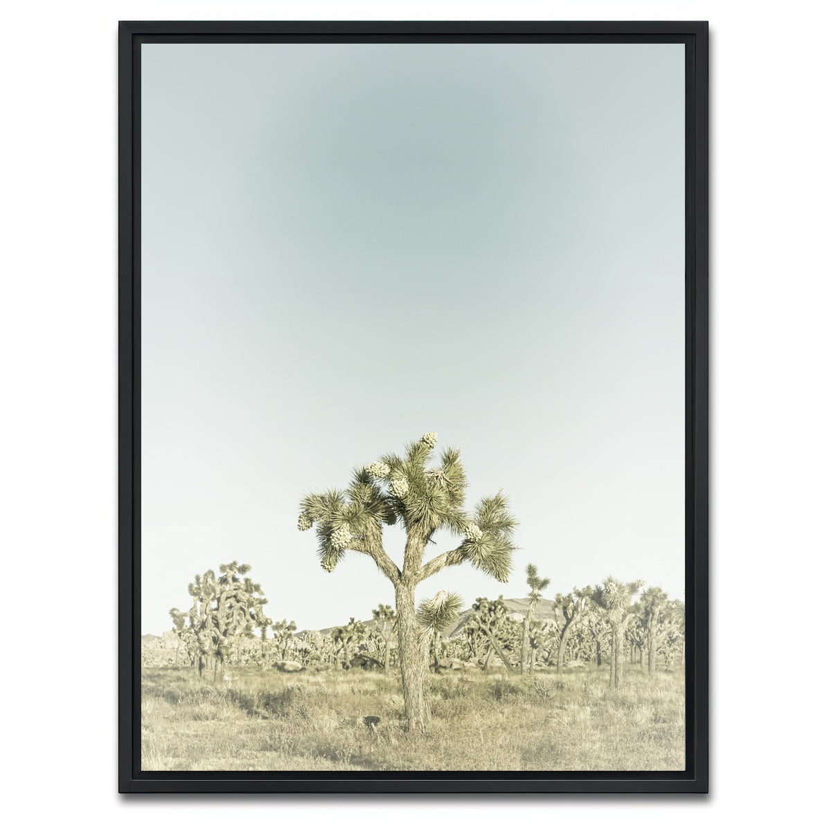 AUTO-MOCKUP WHITE | Joshua Tree National Park Sepia | 1 Piece | Black Framed Canvas | group=3x4