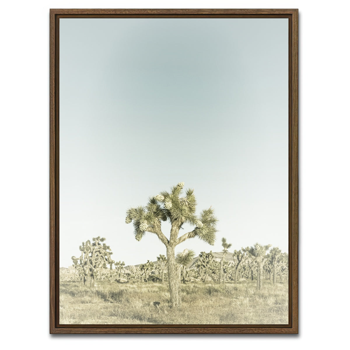 AUTO-MOCKUP WHITE | Joshua Tree National Park Sepia | 1 Piece | Walnut Framed Canvas | group=3x4
