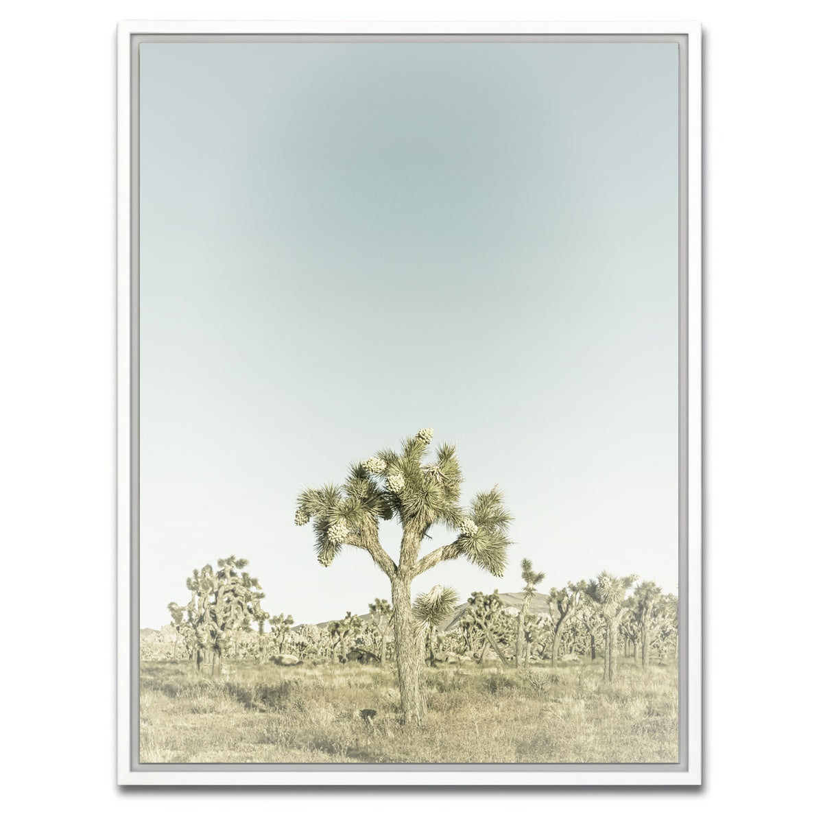 AUTO-MOCKUP WHITE | Joshua Tree National Park Sepia | 1 Piece | White Framed Canvas | group=3x4