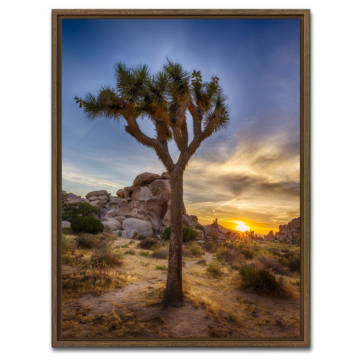 AUTO-MOCKUP WHITE | Joshua Tree National Park | 1 Piece | Walnut Framed Canvas | group=3x4