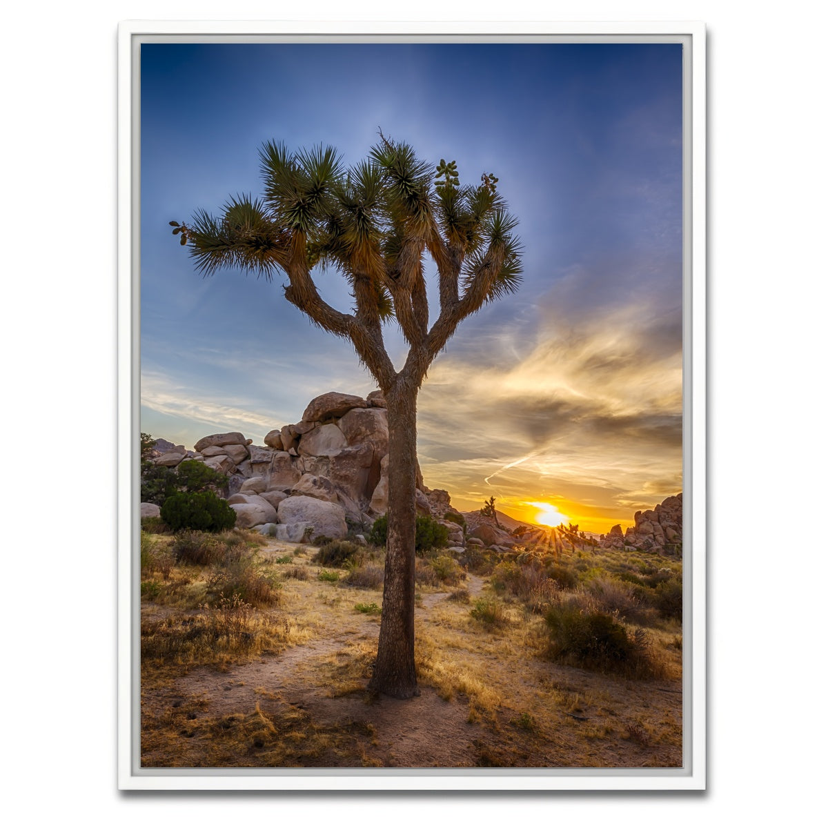 AUTO-MOCKUP WHITE | Joshua Tree National Park | 1 Piece | White Framed Canvas | group=3x4