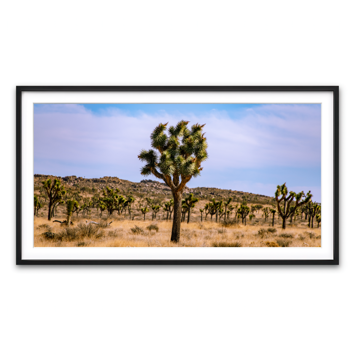 Framed Print 2x1 Black