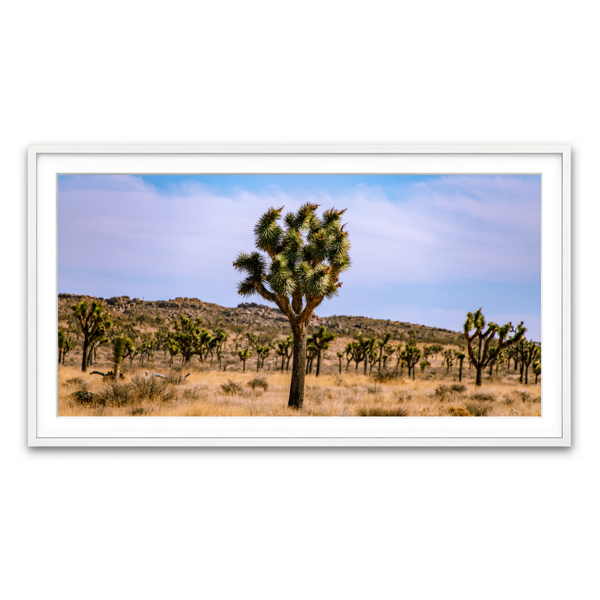 Framed Print 2x1 White