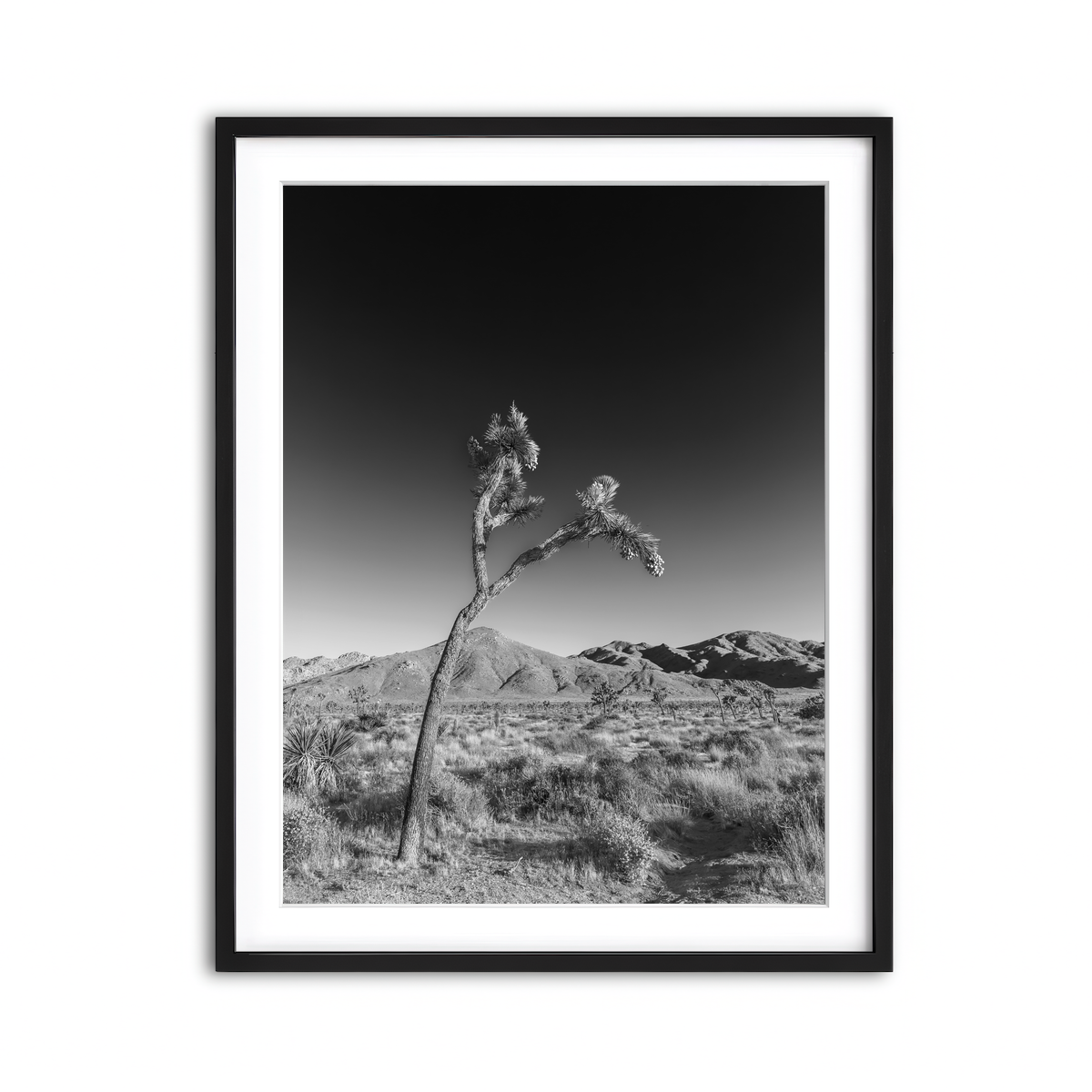 Framed Print 3x4 Black