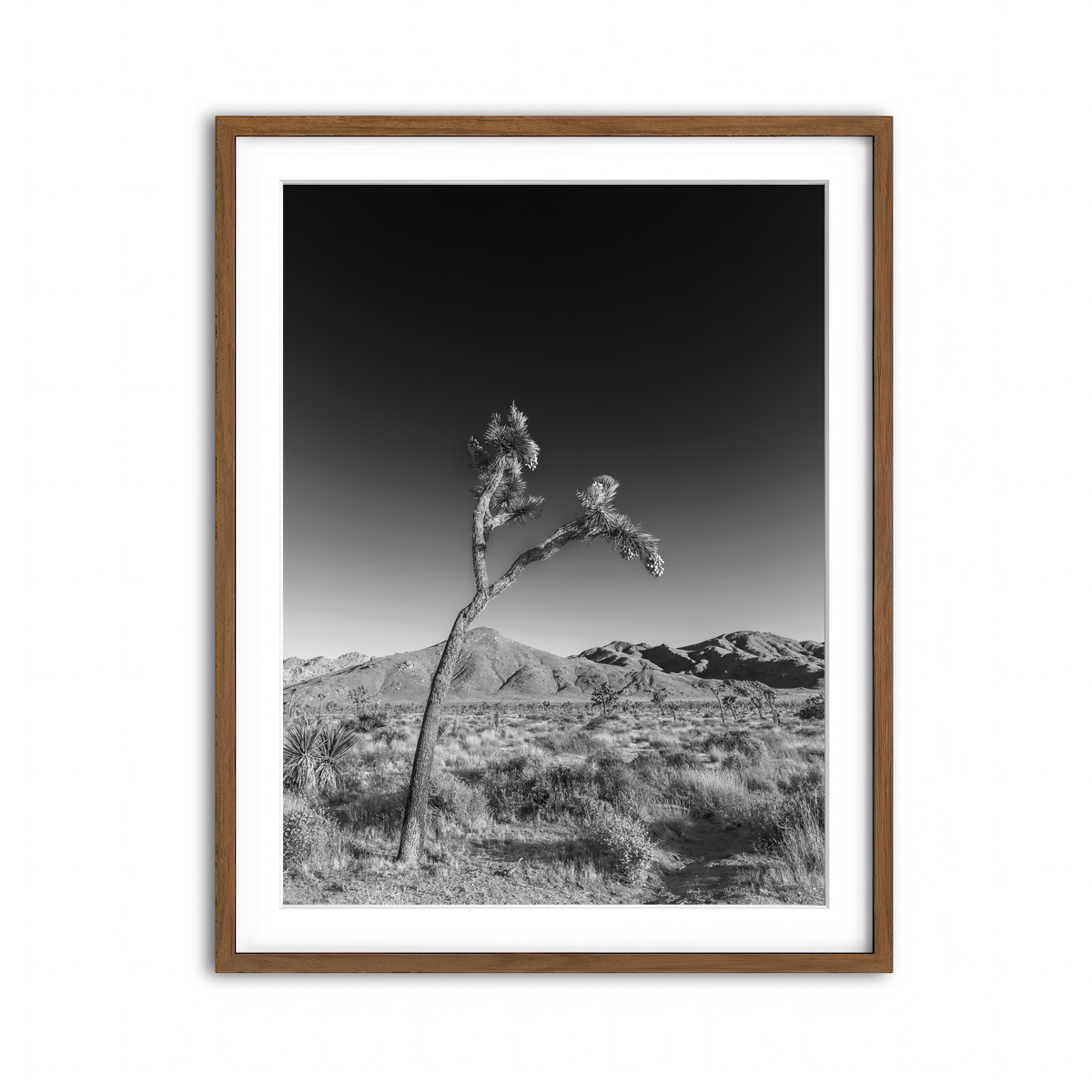 Framed Print 3x4 Walnut