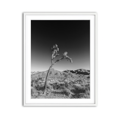 Framed Print 3x4 White