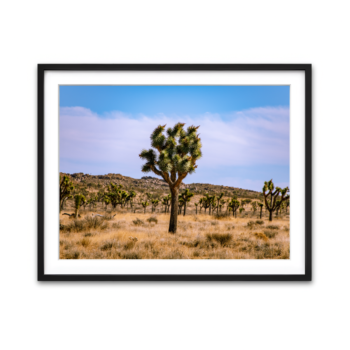 Framed Print 4x3 Black
