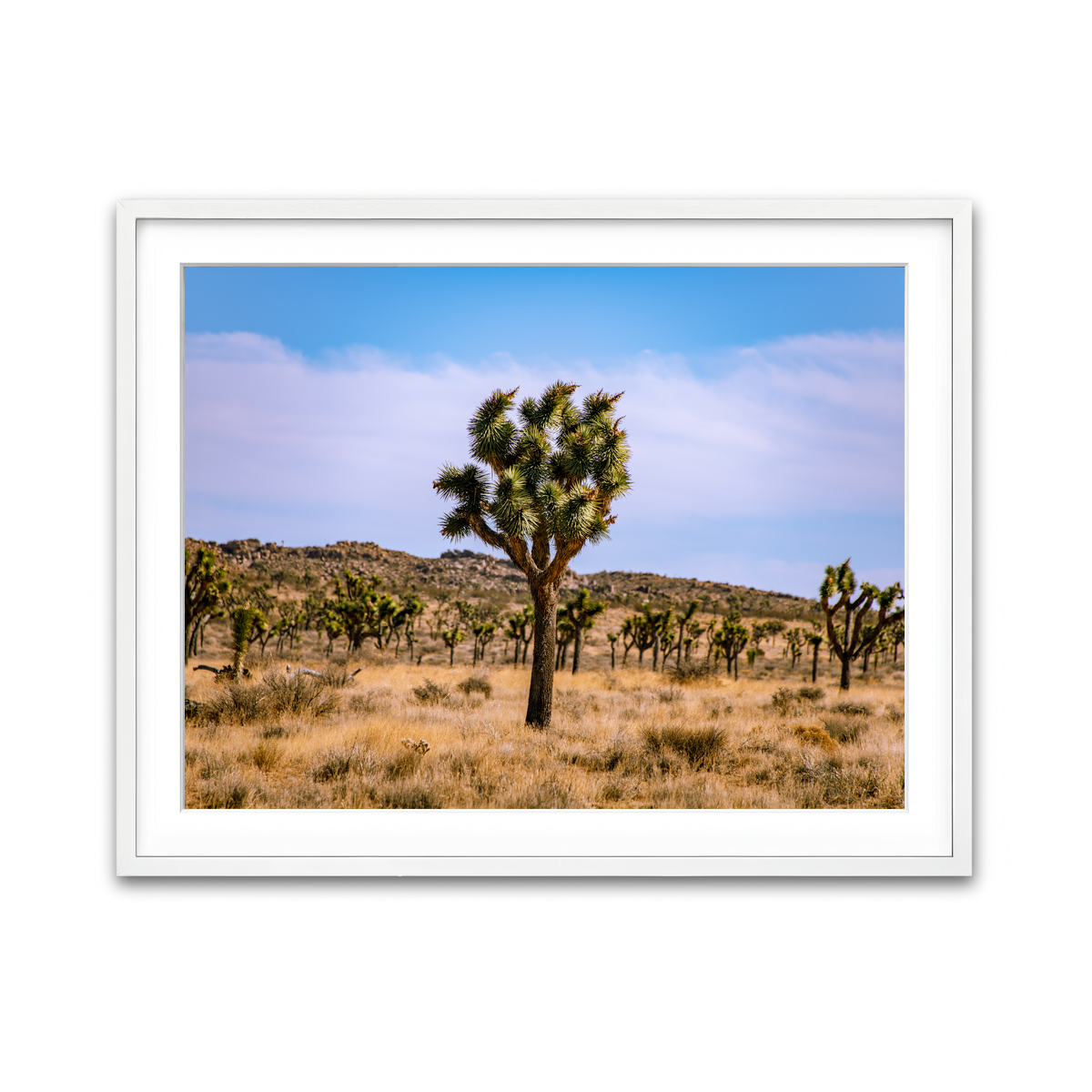 Framed Print 4x3 White