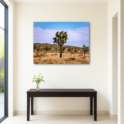 AUTO-MOCKUP ROOM | Joshua Tree
