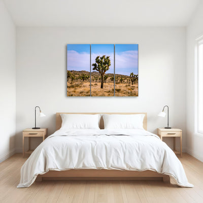 AUTO-MOCKUP ROOM | Joshua Tree