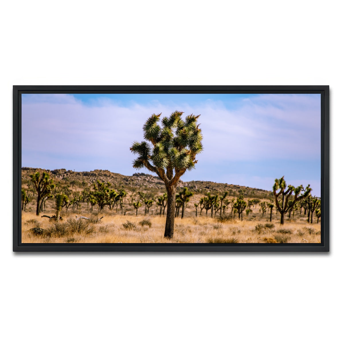 AUTO-MOCKUP WHITE | Joshua Tree | 1 Piece | Black Framed Canvas | group=2x1