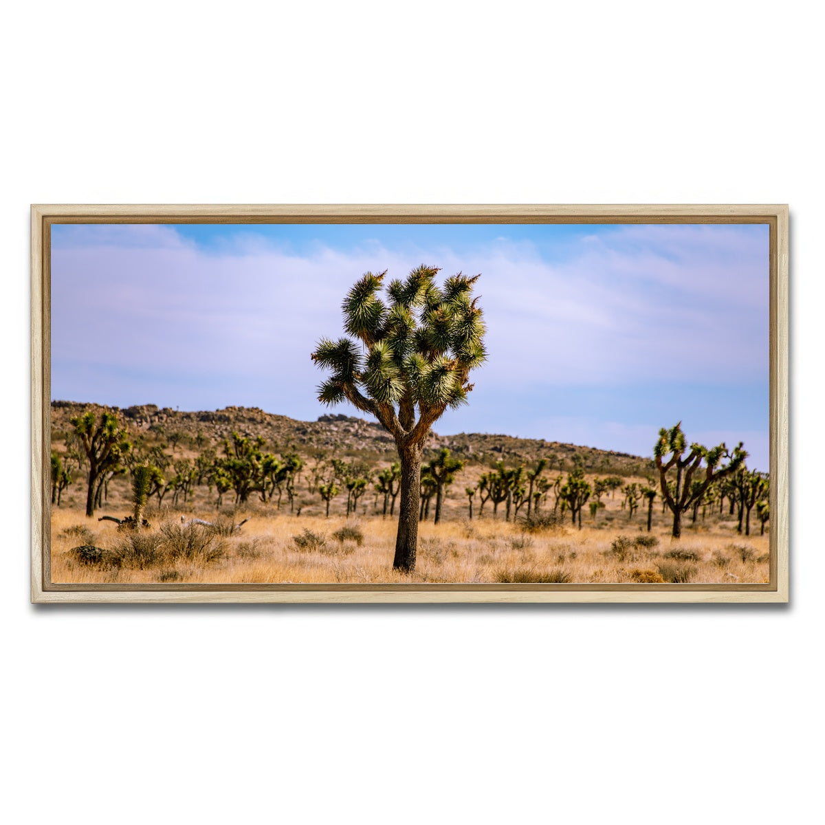AUTO-MOCKUP WHITE | Joshua Tree | 1 Piece | Natural Framed Canvas | group=2x1