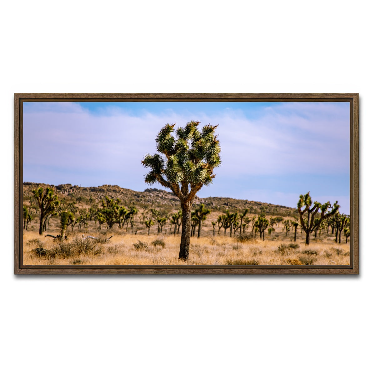 AUTO-MOCKUP WHITE | Joshua Tree | 1 Piece | Walnut Framed Canvas | group=2x1