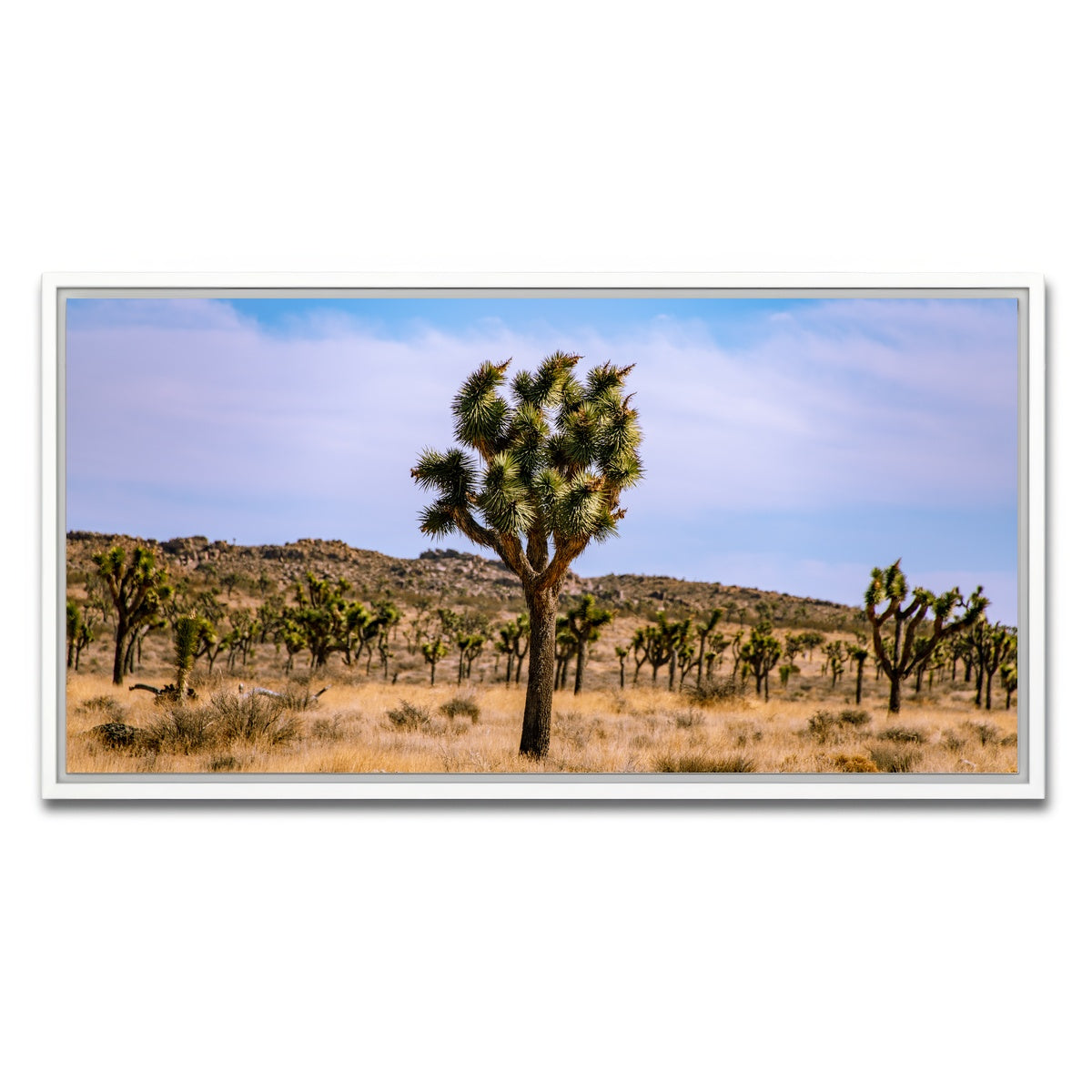 AUTO-MOCKUP WHITE | Joshua Tree | 1 Piece | White Framed Canvas | group=2x1