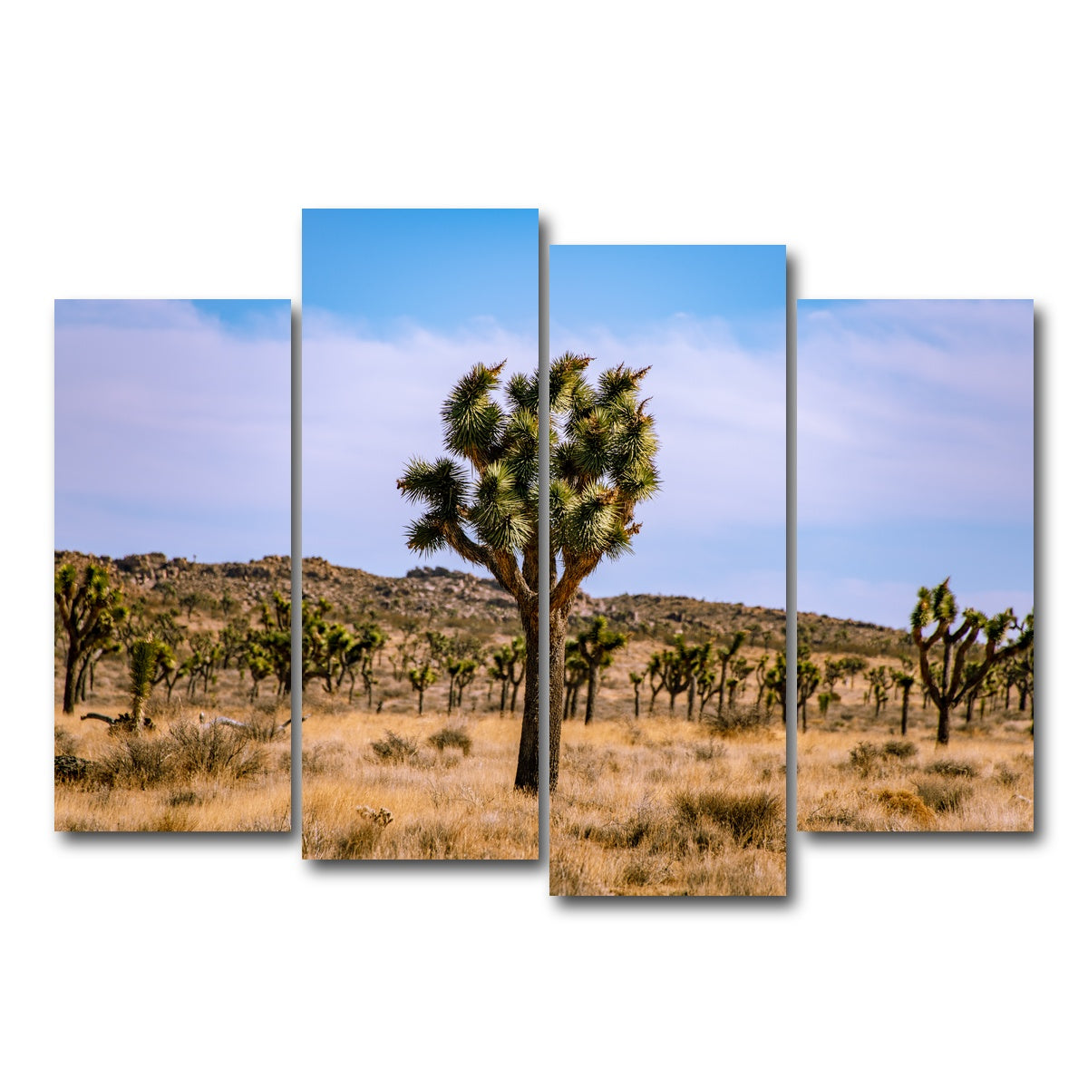 AUTO-MOCKUP WHITE | Joshua Tree | 4 Piece | Gallery Wrap Canvas | group=4_normal