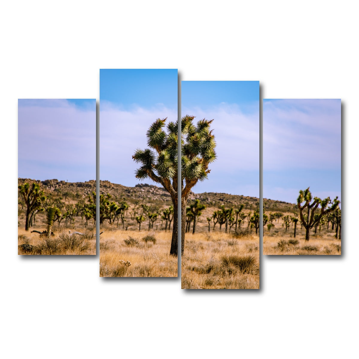 AUTO-MOCKUP WHITE | Joshua Tree | 4 Piece | Gallery Wrap Canvas | group=4_short