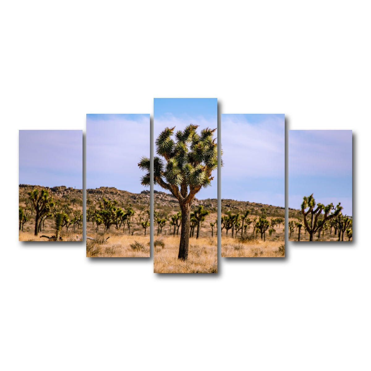 AUTO-MOCKUP WHITE | Joshua Tree | 5 Piece | Gallery Wrap Canvas | group=5_normal
