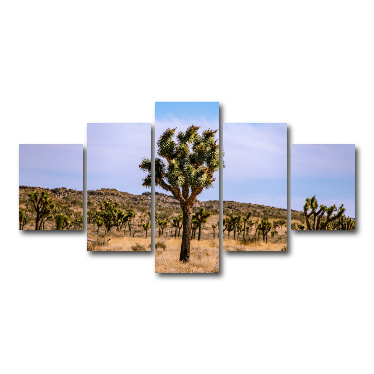 AUTO-MOCKUP WHITE | Joshua Tree | 5 Piece | Gallery Wrap Canvas | group=5_short
