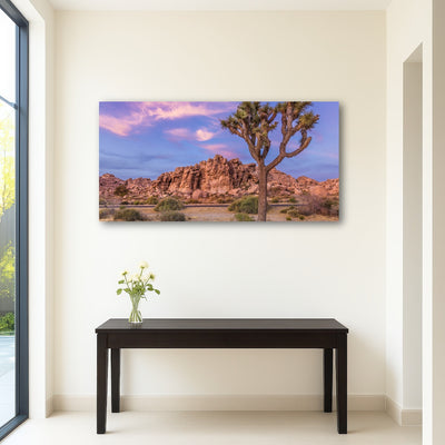 AUTO-MOCKUP ROOM | Joshua Tree in the evening