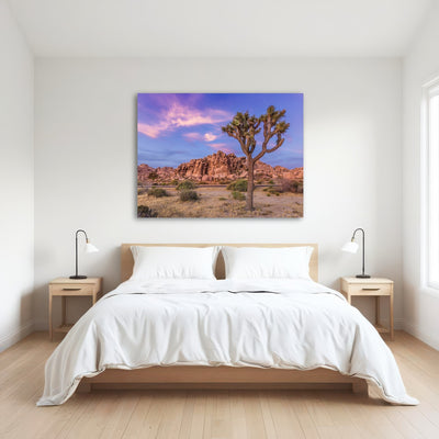 AUTO-MOCKUP ROOM | Joshua Tree in the evening