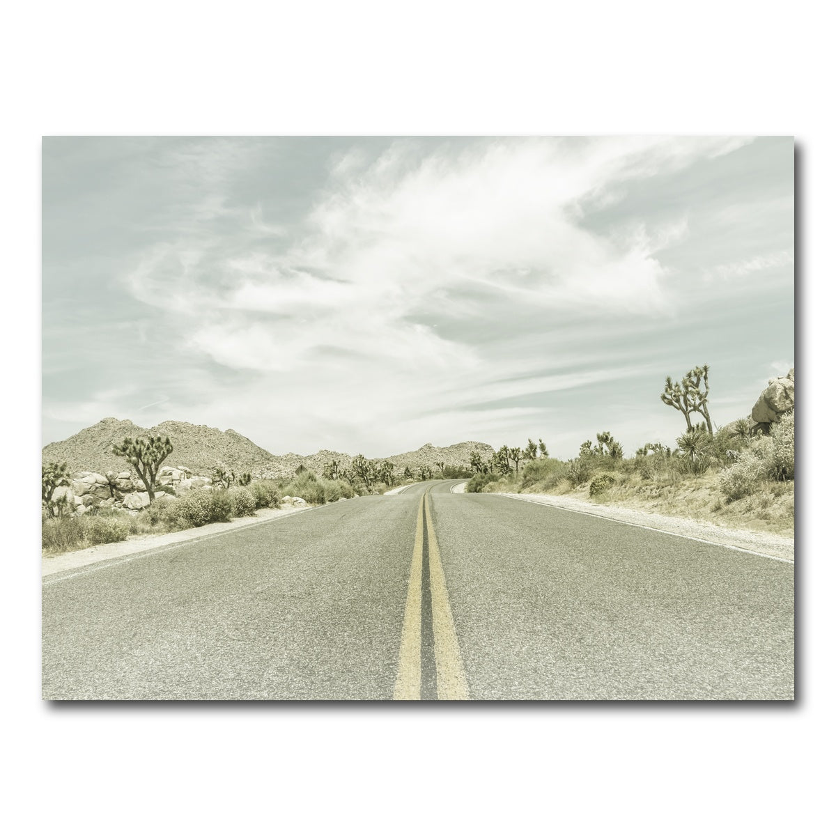 AUTO-MOCKUP WHITE | Joshua Trees Park Boulevard | 1 Piece | Gallery Wrap Canvas | group=4x3