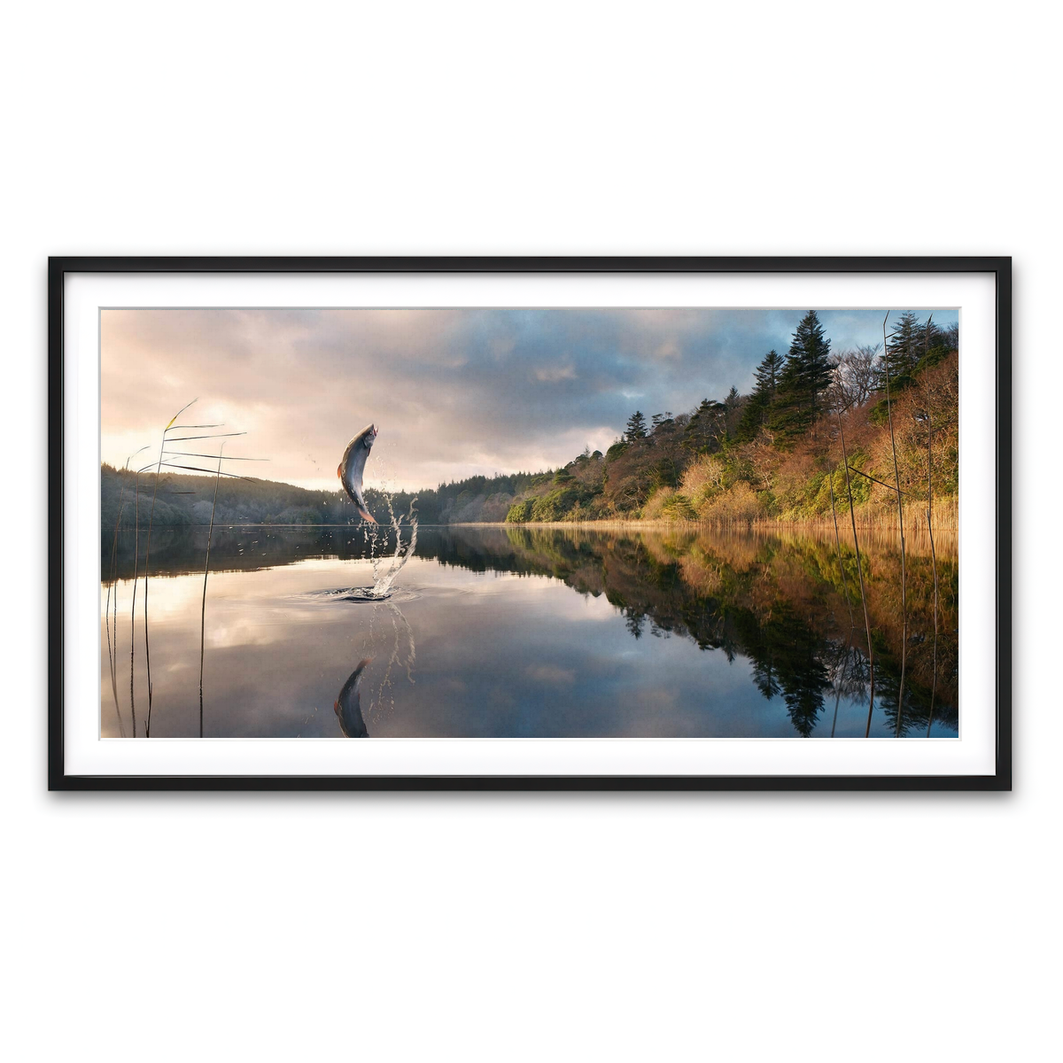 Framed Print 2x1 Black