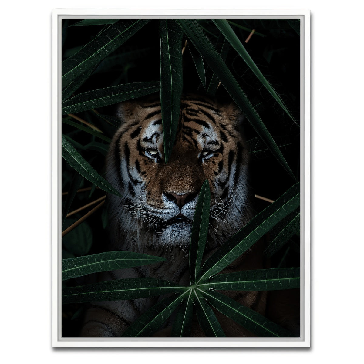 AUTO-MOCKUP WHITE | Jungle Cat | 1 Piece | White Framed Canvas | group=3x4