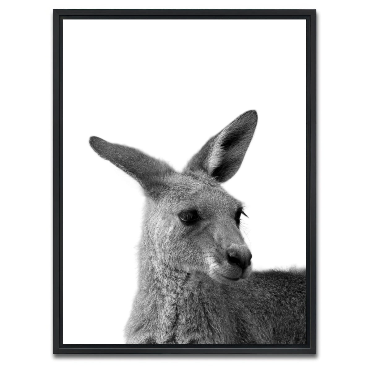 AUTO-MOCKUP WHITE | Kangaroo | 1 Piece | Black Framed Canvas | group=3x4