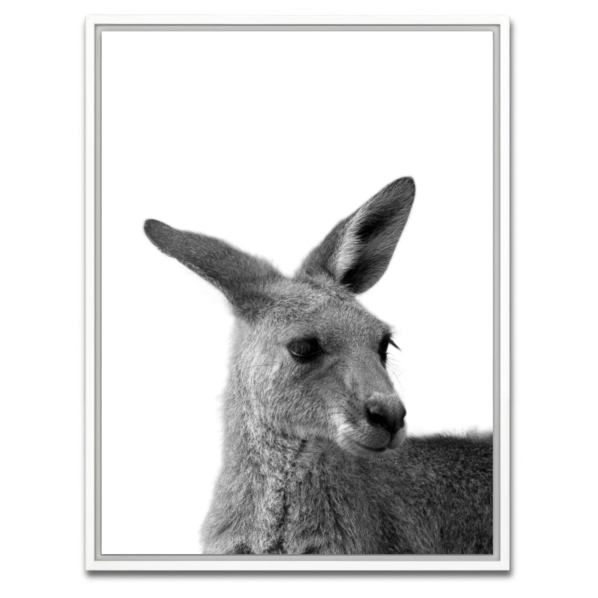 AUTO-MOCKUP WHITE | Kangaroo | 1 Piece | White Framed Canvas | group=3x4
