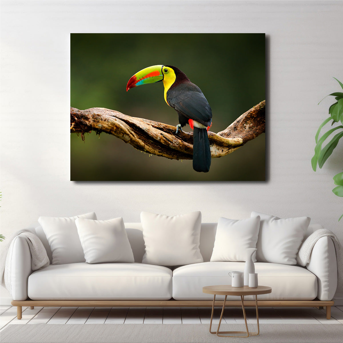 Keel-billed Toucan Wall Art