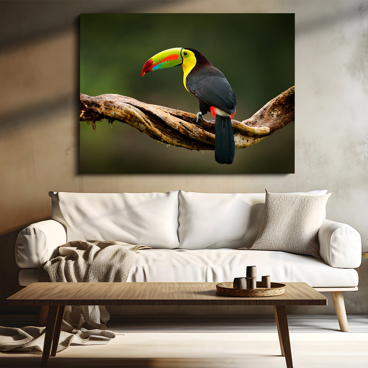 Keel-billed Toucan Wall Art
