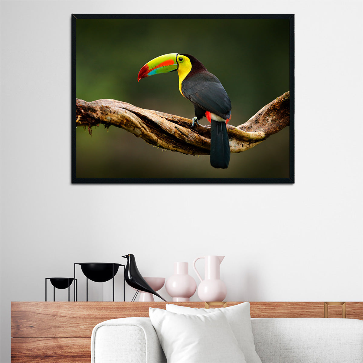 Keel-billed Toucan Wall Art