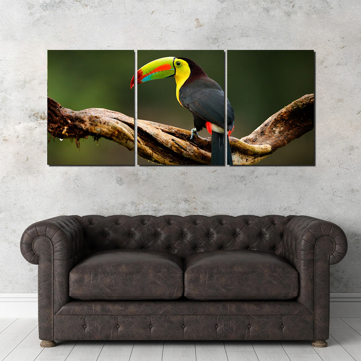 Keel-billed Toucan Wall Art