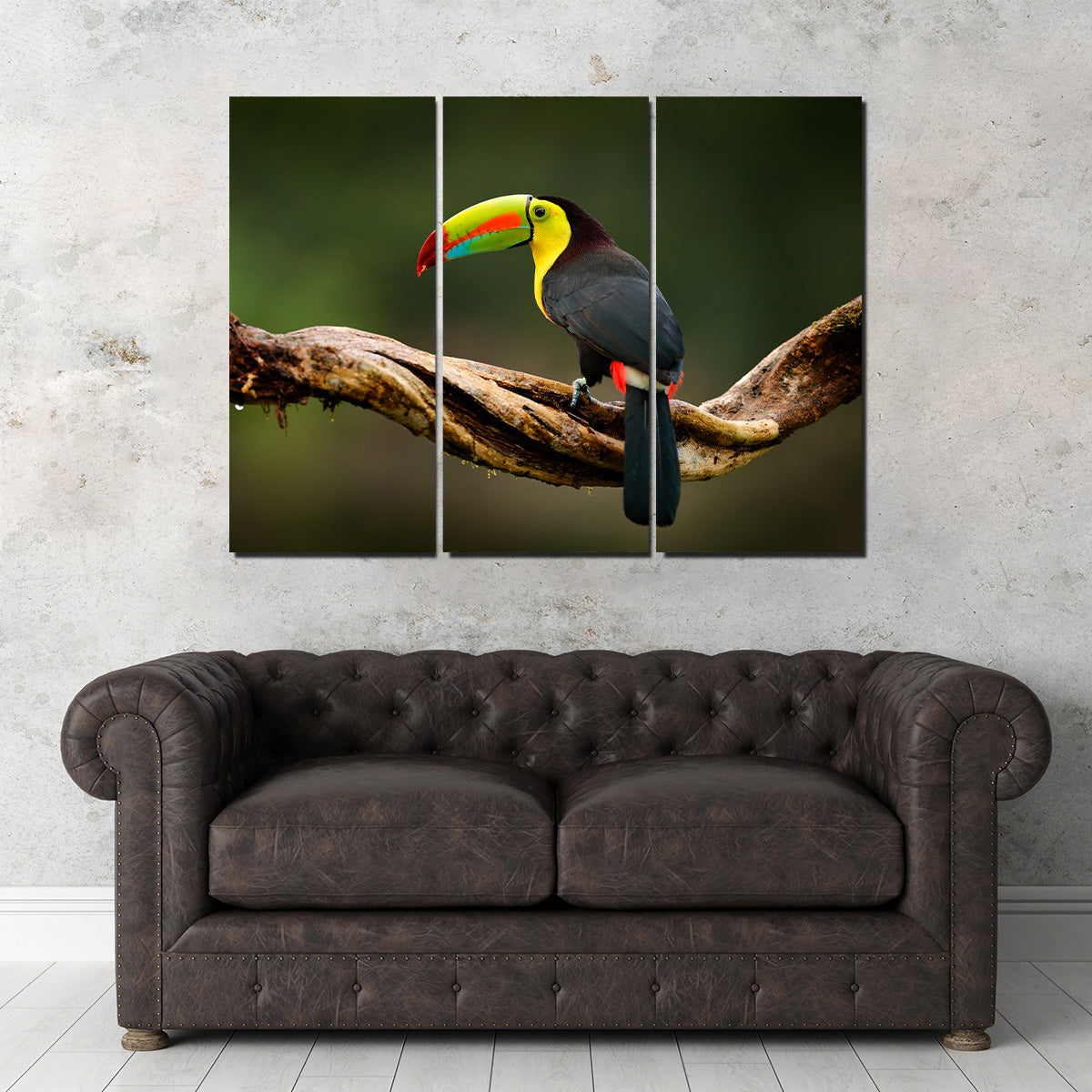 Keel-billed Toucan Wall Art