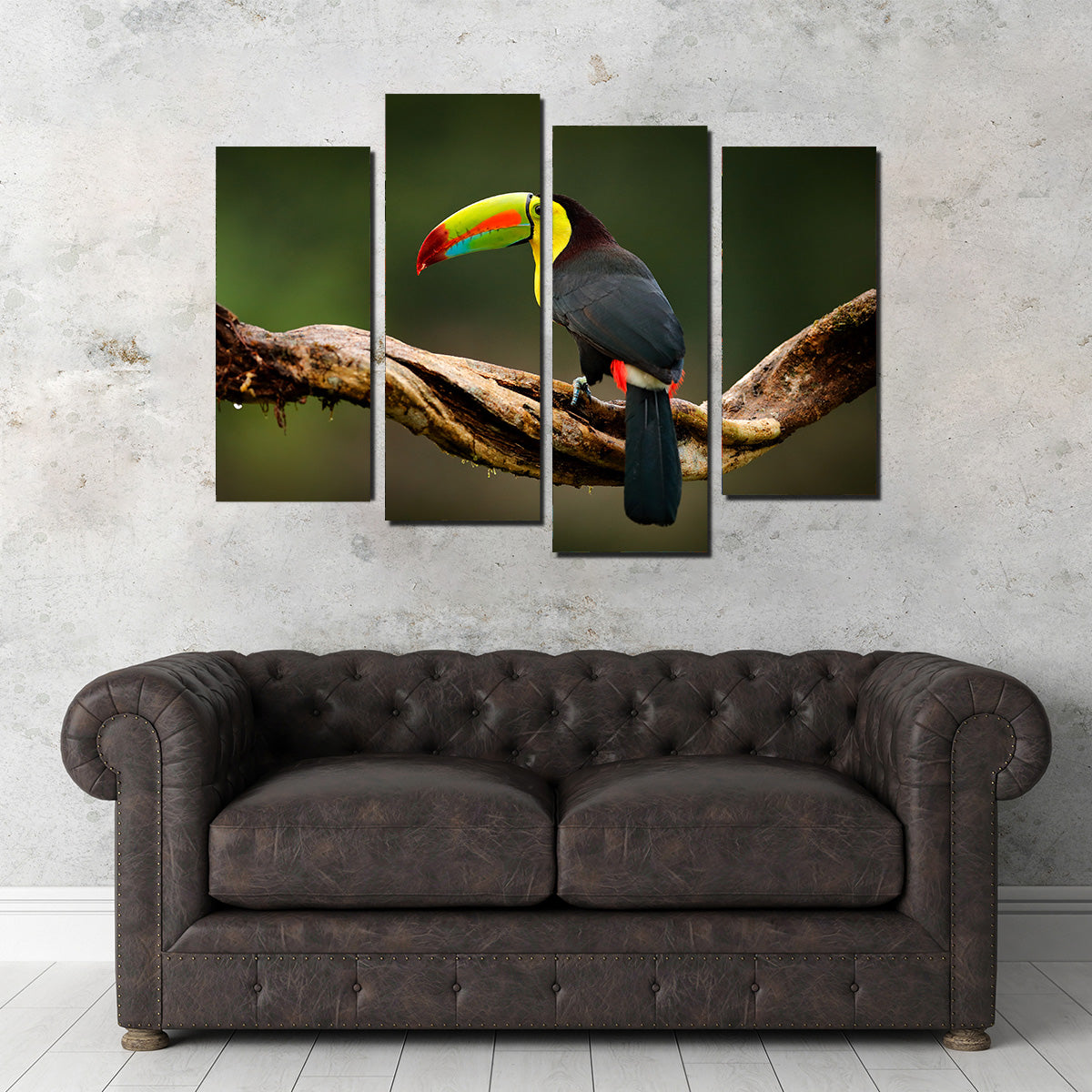 Keel-billed Toucan Wall Art