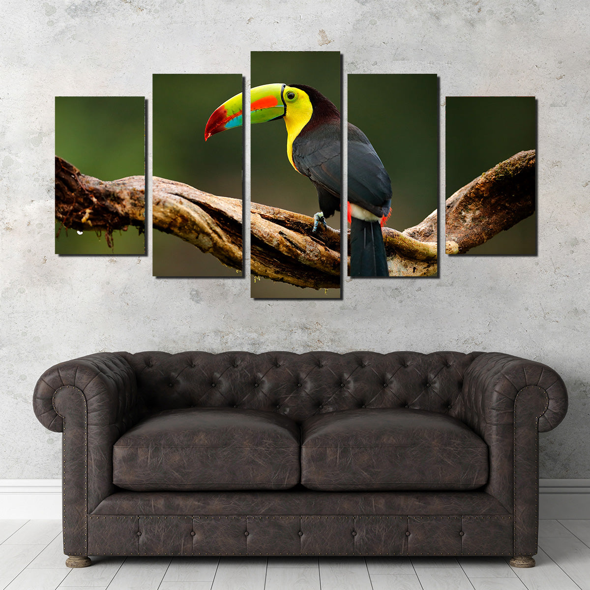 Keel-billed Toucan Wall Art