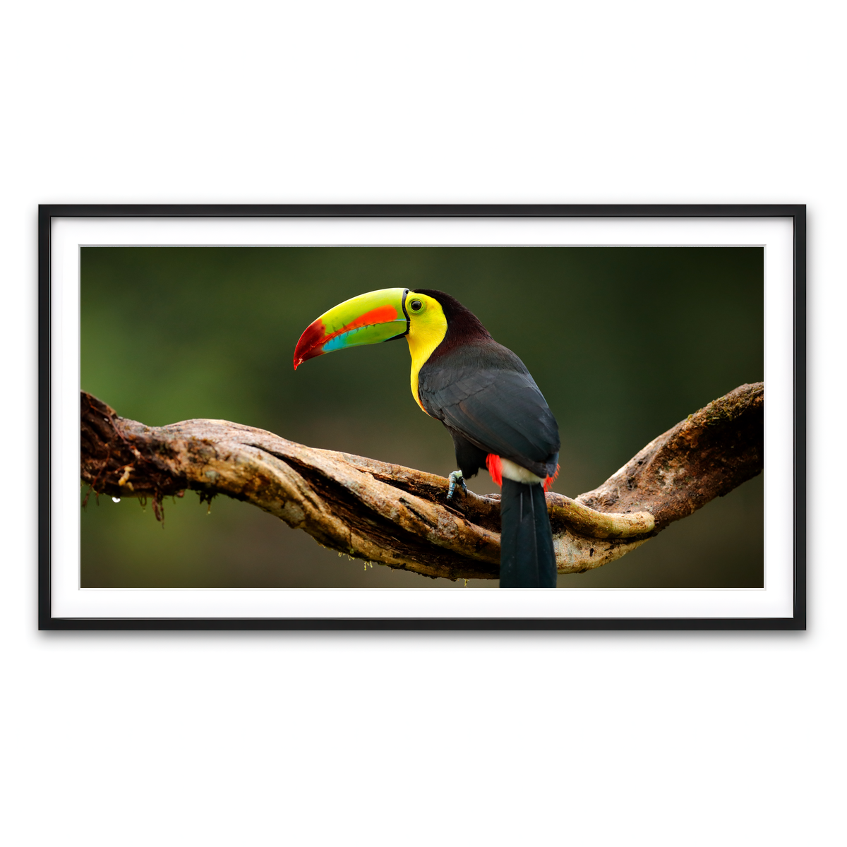 Framed Print 2x1 Black