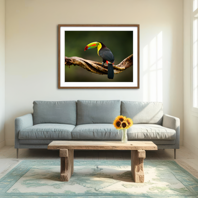 AUTO-MOCKUP ROOM | Keel-billed Toucan Wall Art