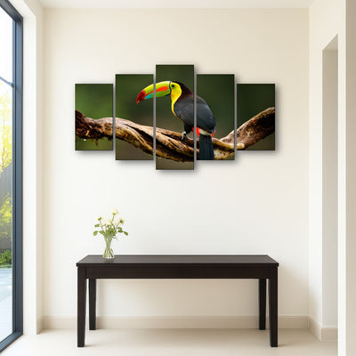 AUTO-MOCKUP ROOM | Keel-billed Toucan