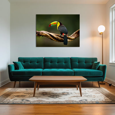 AUTO-MOCKUP ROOM | Keel-billed Toucan