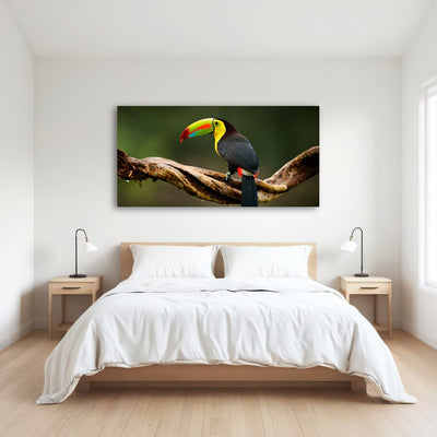 AUTO-MOCKUP ROOM | Keel-billed Toucan