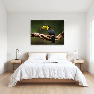 AUTO-MOCKUP ROOM | Keel-billed Toucan