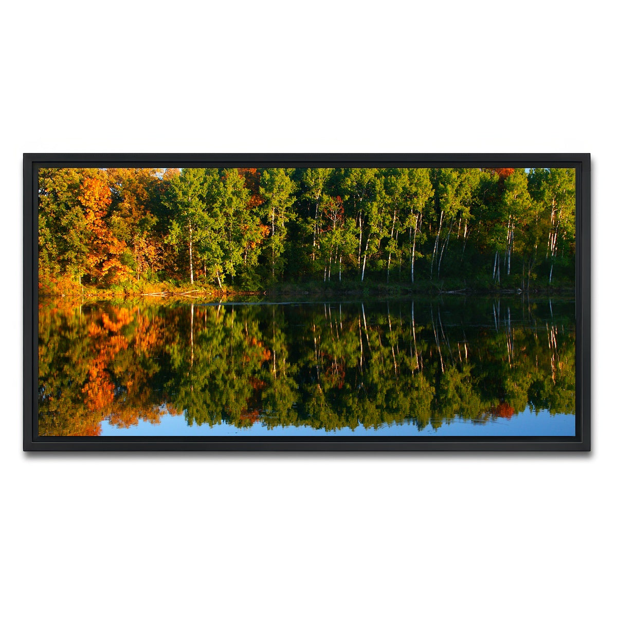 AUTO-MOCKUP WHITE | Kettle Moraine State Forest | 1 Piece | Black Framed Canvas | group=2x1