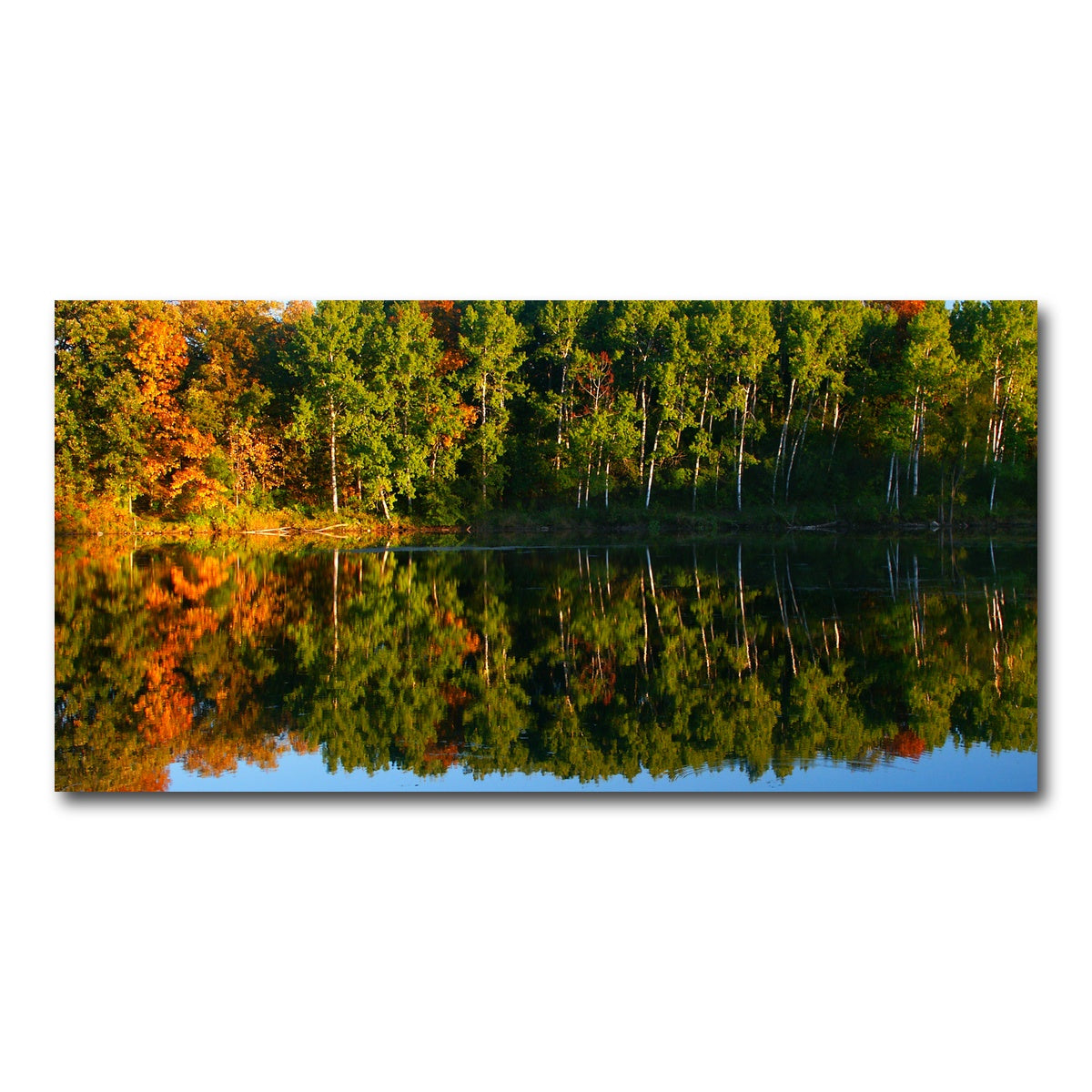AUTO-MOCKUP WHITE | Kettle Moraine State Forest | 1 Piece | Gallery Wrap Canvas | group=2x1