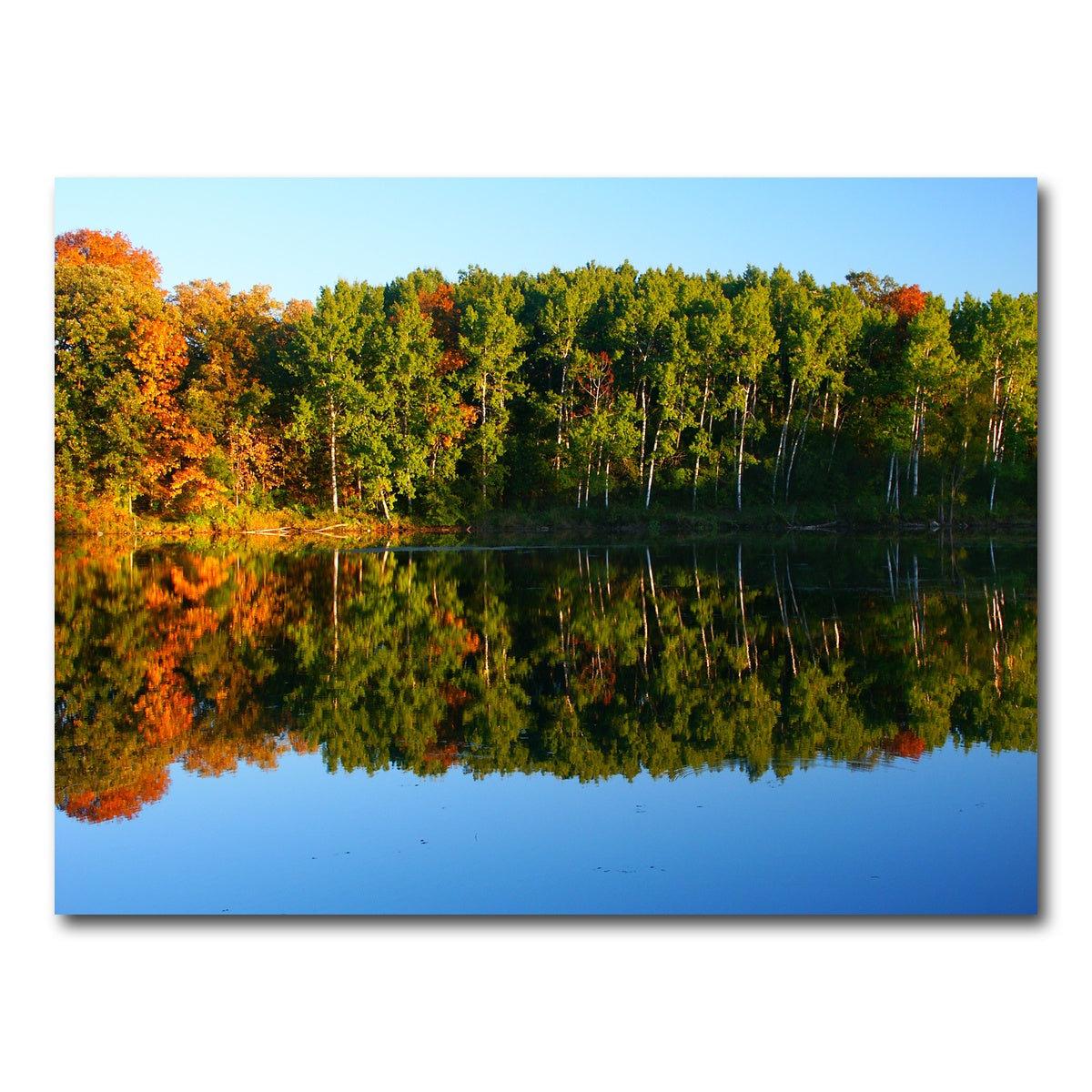 AUTO-MOCKUP WHITE | Kettle Moraine State Forest | 1 Piece | Gallery Wrap Canvas | group=4x3