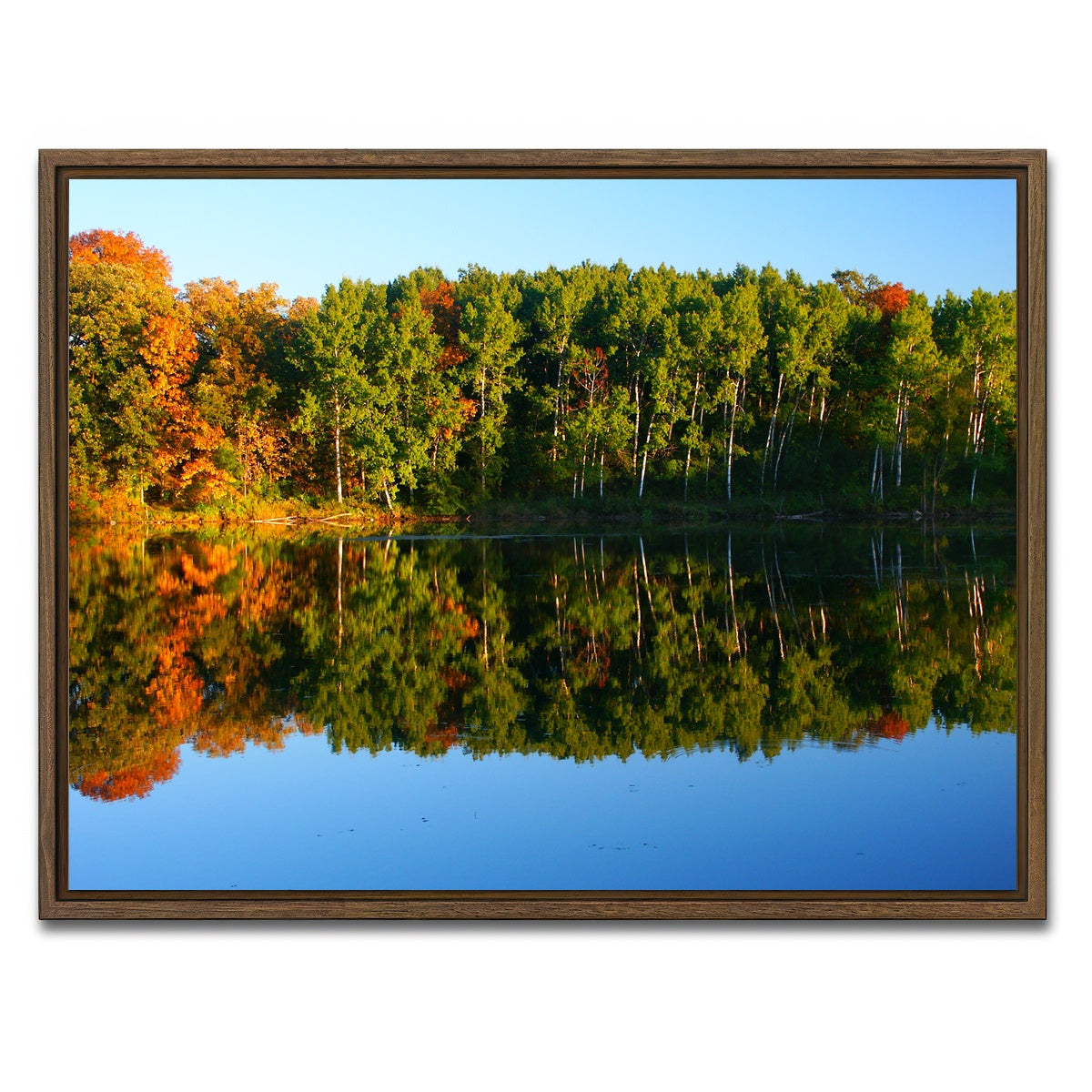 AUTO-MOCKUP WHITE | Kettle Moraine State Forest | 1 Piece | Walnut Framed Canvas | group=4x3