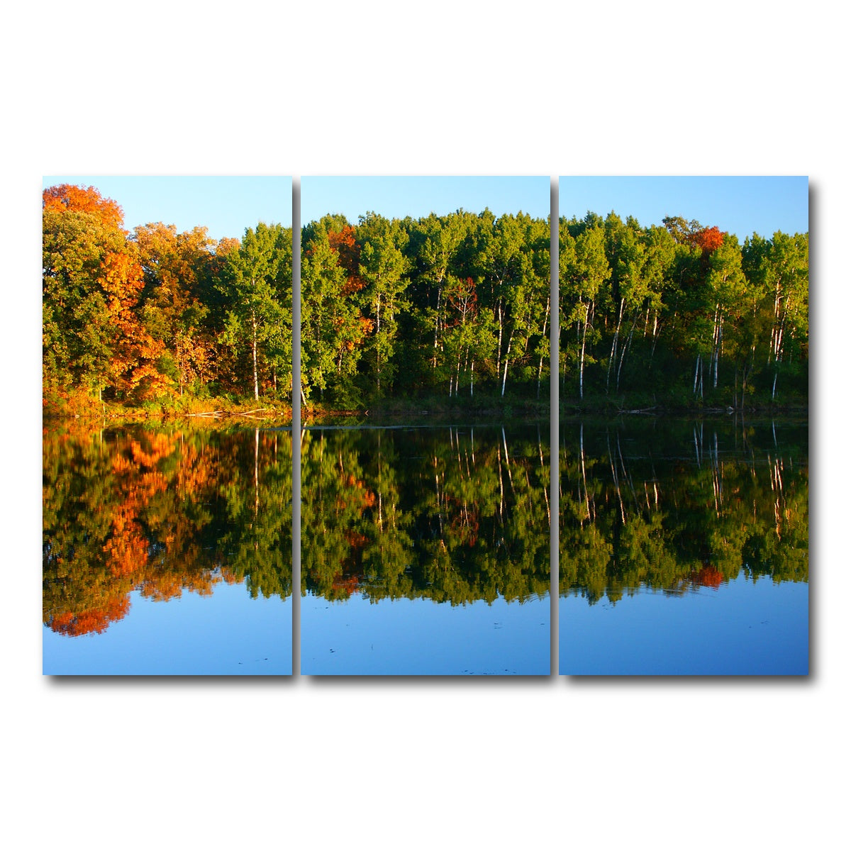 AUTO-MOCKUP WHITE | Kettle Moraine State Forest | 3 Piece | Gallery Wrap Canvas | group=12x24